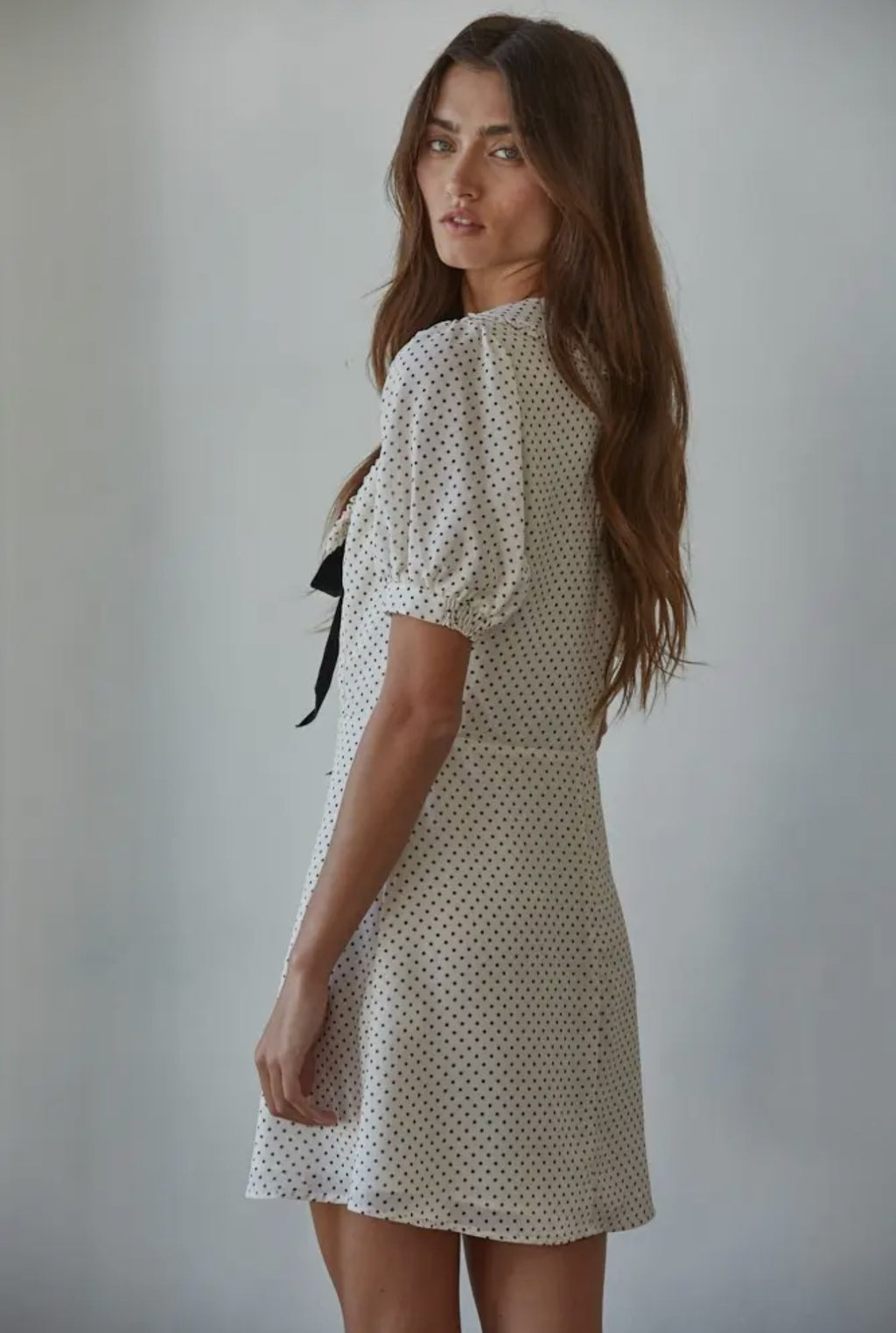 Chiffon Swiss Dot Print Mini Dress