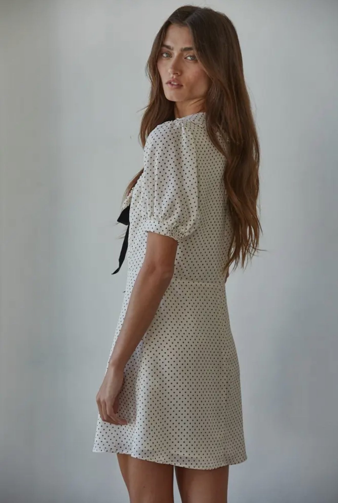 Chiffon Swiss Dot Print Mini Dress