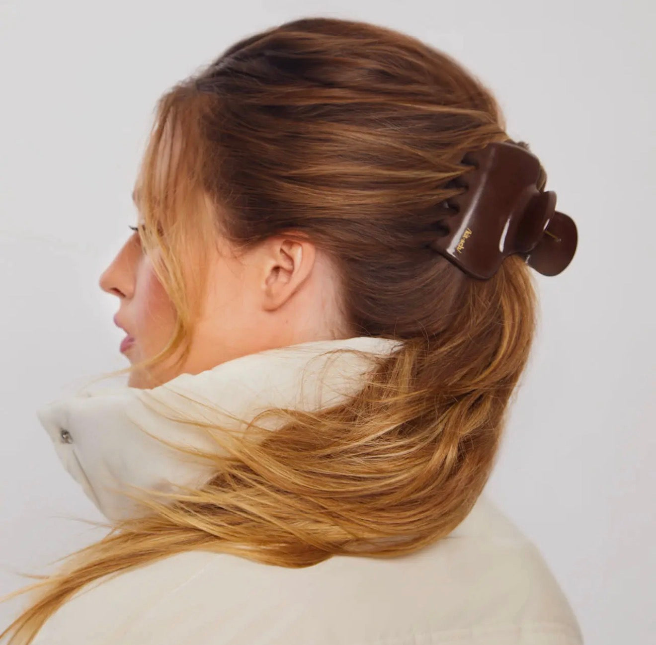 Brown Puffy Cloud Clip